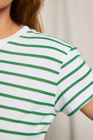 Everett Stripe Tee - Grass Green Stripe